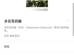 -守诺宠物医院·眼科· 特色牙科·异宠专科(虹口店)