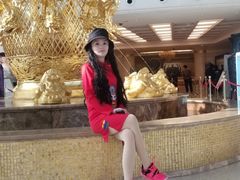 -华西龙希大酒店旅游观光区