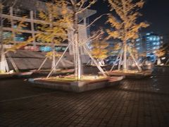 -南京中医药大学(仙林校区)