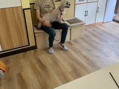 -派联宠物医院·24h·CT·异宠