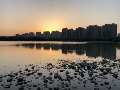 -南翔镇银翔湖公园