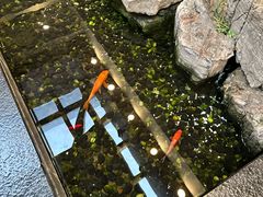 -苏州独墅湖书香世家酒店