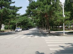 -东北大学(南湖校区)