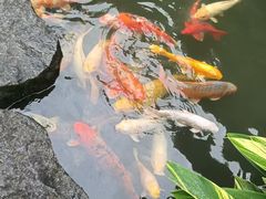 -广州花园酒店