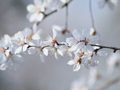 -三里河公园