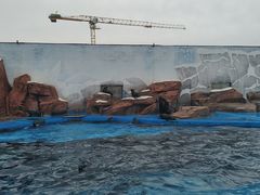-上海海昌海洋公园