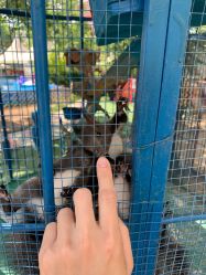 -萌宠亲子动物乐园(槐房万达店)