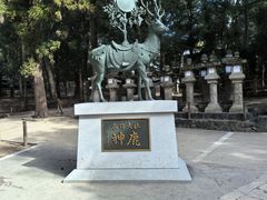 -奈良公园