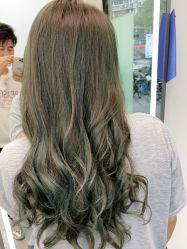 -环球蝶上美业连锁