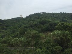 -东部华侨城