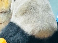 -青藏高原野生动物园