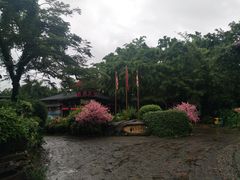 -观澜山水田园
