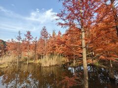 -同里国家湿地公园