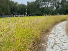 -北坞公园