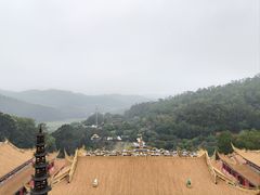 -东莞市大岭山森林公园