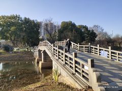 -堤角公园