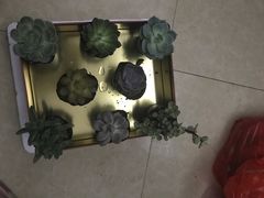 -KKV(深圳宏发大仟里店)