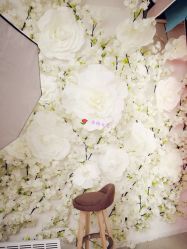 -梵梦影像馆(绿博园店)