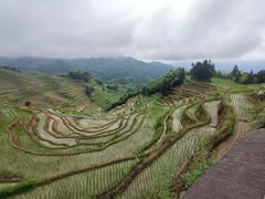 -紫鹊界梯田景区