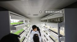 -麦粒鸟亲子游