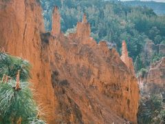 -彩色沙林风景区
