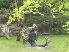 -汇龙潭
