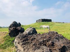 -涉地可支