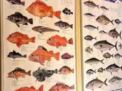 -镹·鱼料理  国产鱼使用店