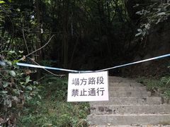 -广州市帽峰山景区