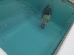 -金泽21世纪美术馆