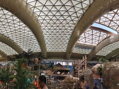 -杭州开元森泊度假乐园