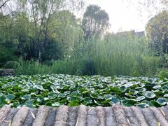 -武汉园博园(武汉自然博物馆)