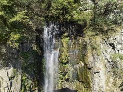 -溪口-滕头旅游景区