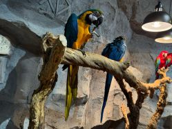 -Zoolung Zoolung动物主题公园(海信广场店)