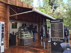 -怀托摩萤火虫洞