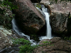 android_upload_pic-旗山国家森林公园
