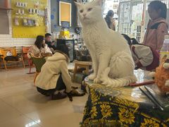 -平行世界·猫咖(首经贸店)