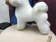 -鑫艺宠物美容培训学校