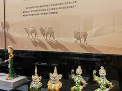 -四川大学博物馆