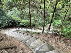 -火炉山森林公园