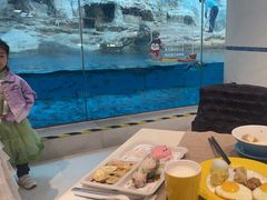 -帝企鹅自助餐厅•儿童岛•真企鹅(长隆企鹅酒店)