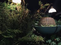 -自然餐厅(Phuket)