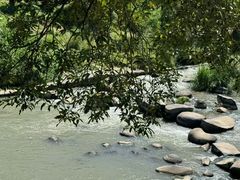 -卿园芳远·正宗石鼓白鸭汤