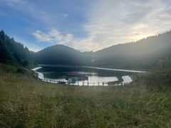 -武陵山森林公园