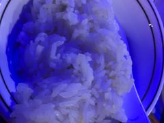-南门园饭馆(鹏城店)
