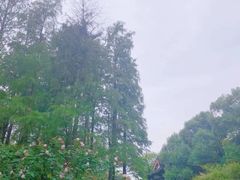 -商丘市人民公园