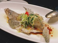 清蒸老鼠斑-广州文华东方酒店·江-由辉师傅主理