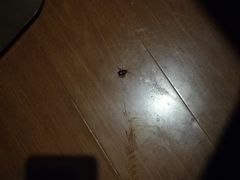 -格林豪泰商务酒店(武汉武昌火车站东广场店)