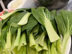 -鑫龙火锅城(青岛分店)