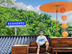 -西双版纳原始森林公园
